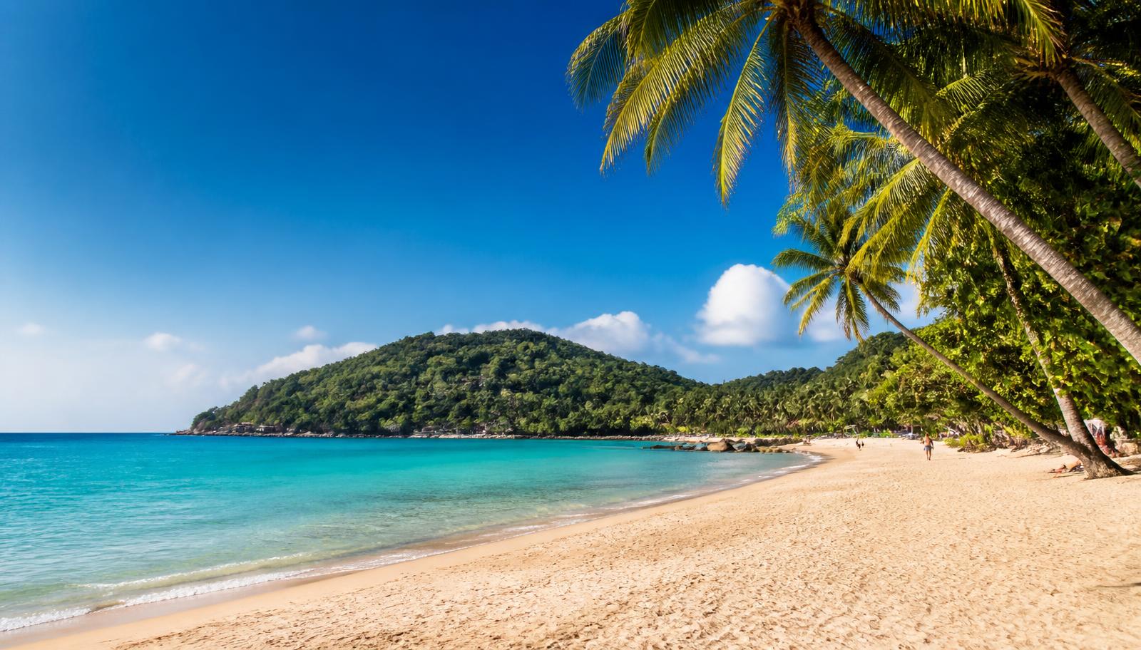 Sunlit Koh Phangan beach in high season with clear blue sky, calm turquoise water and only a few people on the sand